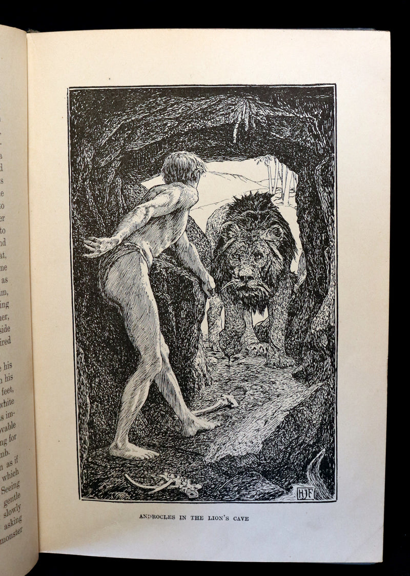 1903 Rare Book - The Animal Story Book by Andrew Lang Illustrated by H. J. FORD.