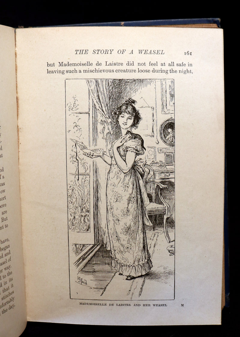 1903 Rare Book - The Animal Story Book by Andrew Lang Illustrated by H. J. FORD.