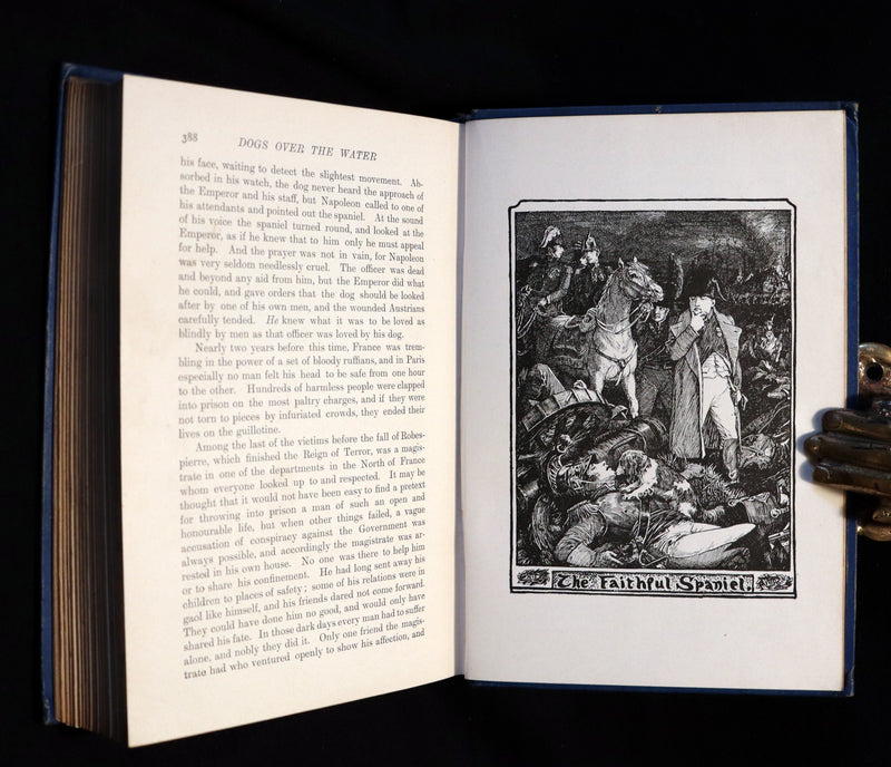 1903 Rare Book - The Animal Story Book by Andrew Lang Illustrated by H. J. FORD.