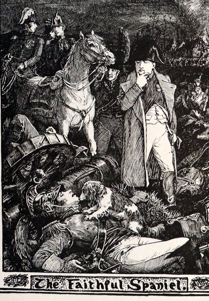 1903 Rare Book - The Animal Story Book by Andrew Lang Illustrated by H. J. FORD.