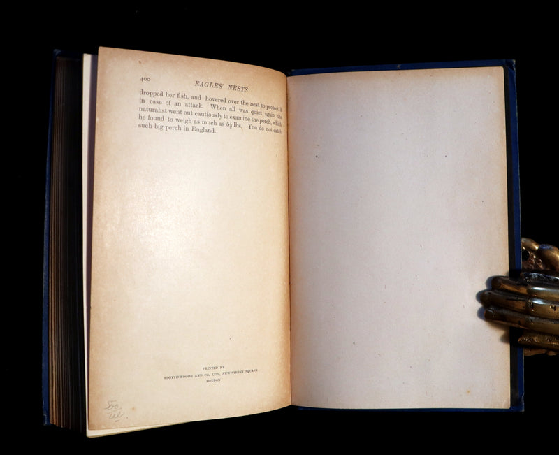 1903 Rare Book - The Animal Story Book by Andrew Lang Illustrated by H. J. FORD.