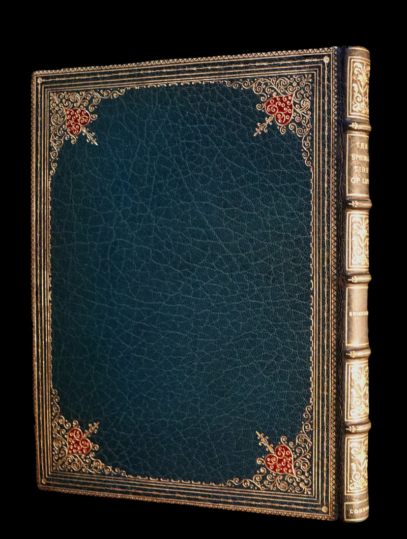 1918 Rare Book in a beautiful binding - The Springtide of Life illustrated by Arthur Rackham.