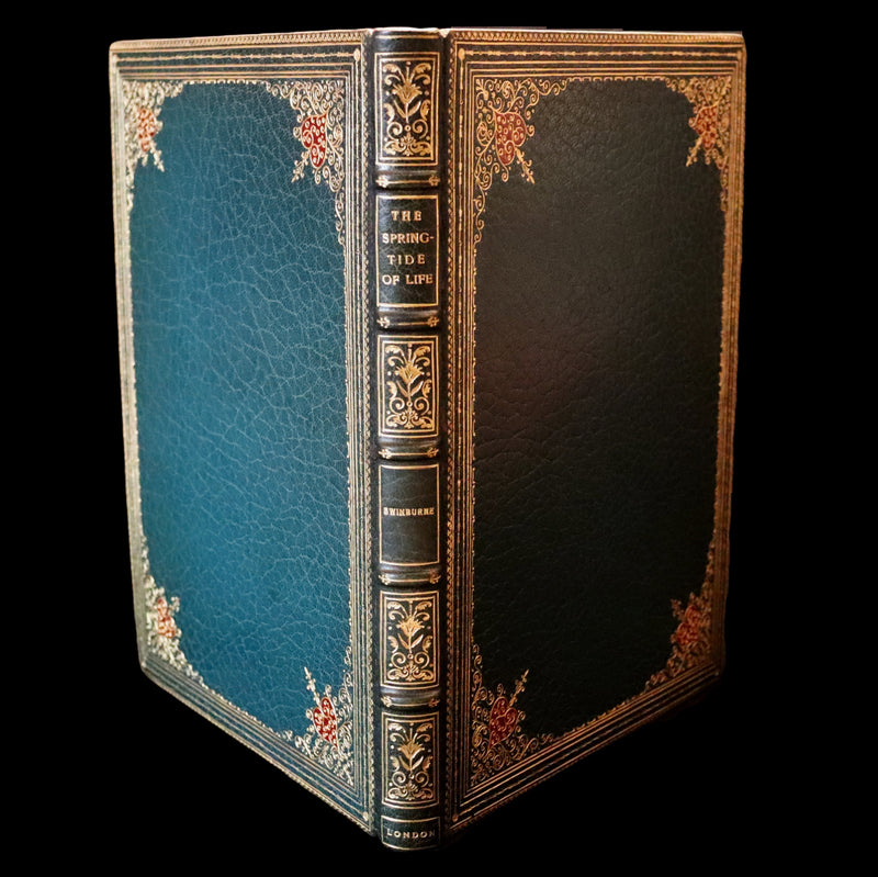 1918 Rare Book in a beautiful binding - The Springtide of Life illustrated by Arthur Rackham.