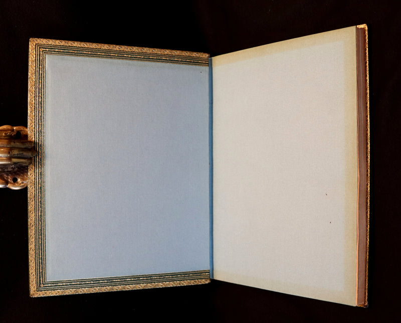 1918 Rare Book in a beautiful binding - The Springtide of Life illustrated by Arthur Rackham.