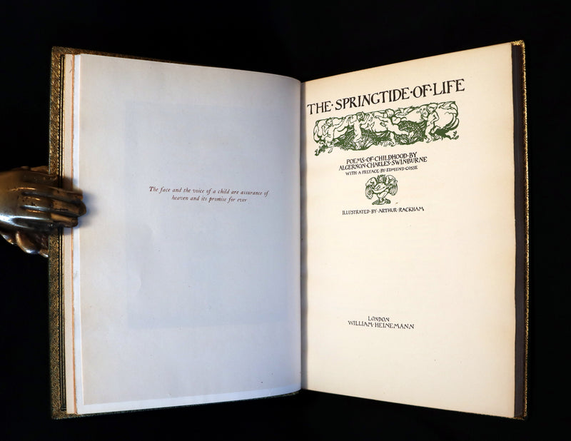 1918 Rare Book in a beautiful binding - The Springtide of Life illustrated by Arthur Rackham.
