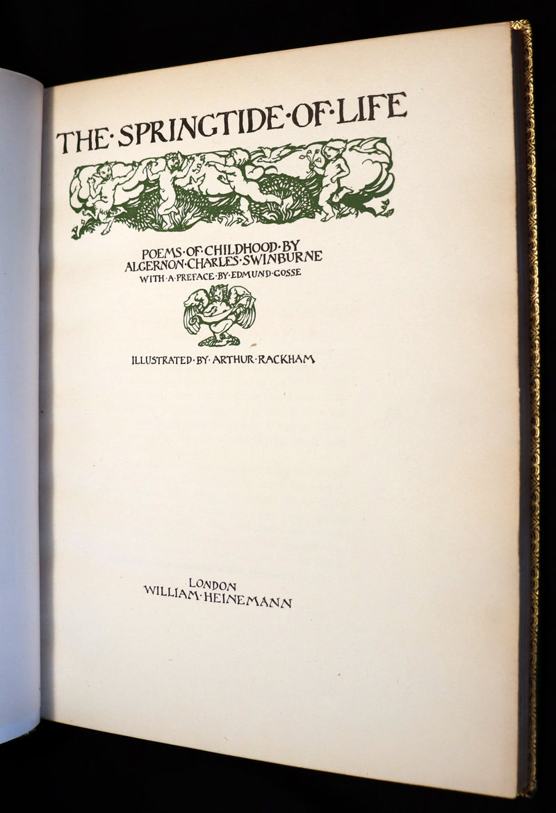 1918 Rare Book in a beautiful binding - The Springtide of Life illustrated by Arthur Rackham.