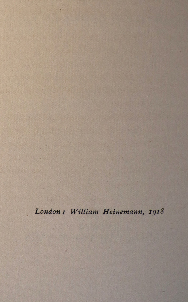 1918 Rare Book in a beautiful binding - The Springtide of Life illustrated by Arthur Rackham.