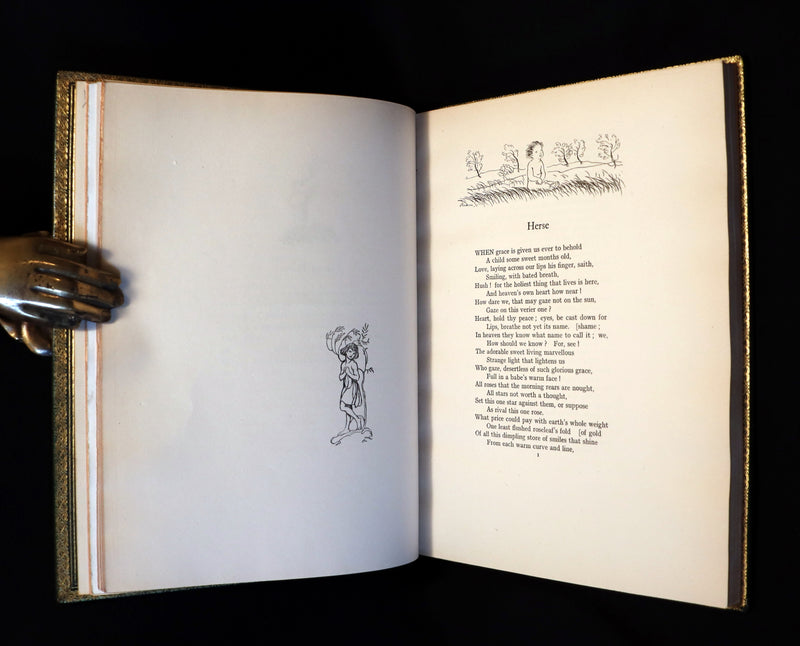 1918 Rare Book in a beautiful binding - The Springtide of Life illustrated by Arthur Rackham.