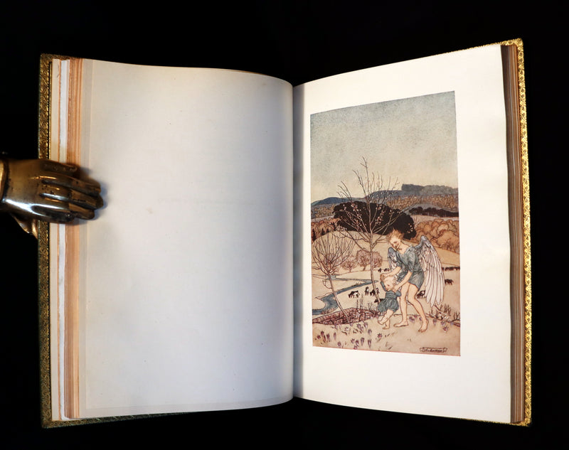 1918 Rare Book in a beautiful binding - The Springtide of Life illustrated by Arthur Rackham.