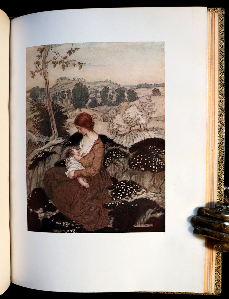 1918 Rare Book in a beautiful binding - The Springtide of Life illustrated by Arthur Rackham.