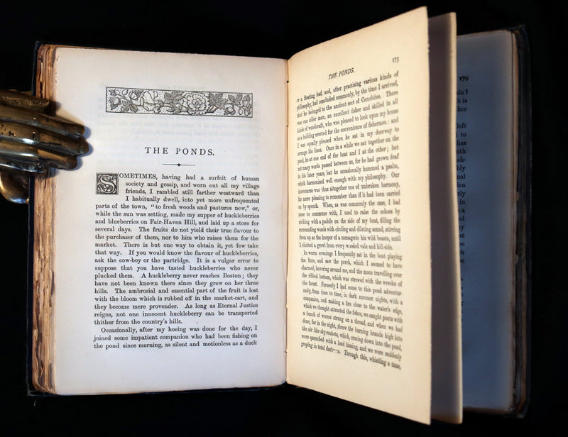 1886 Rare FIRST BRITISH EDITION - WALDEN by Henry David Thoreau.