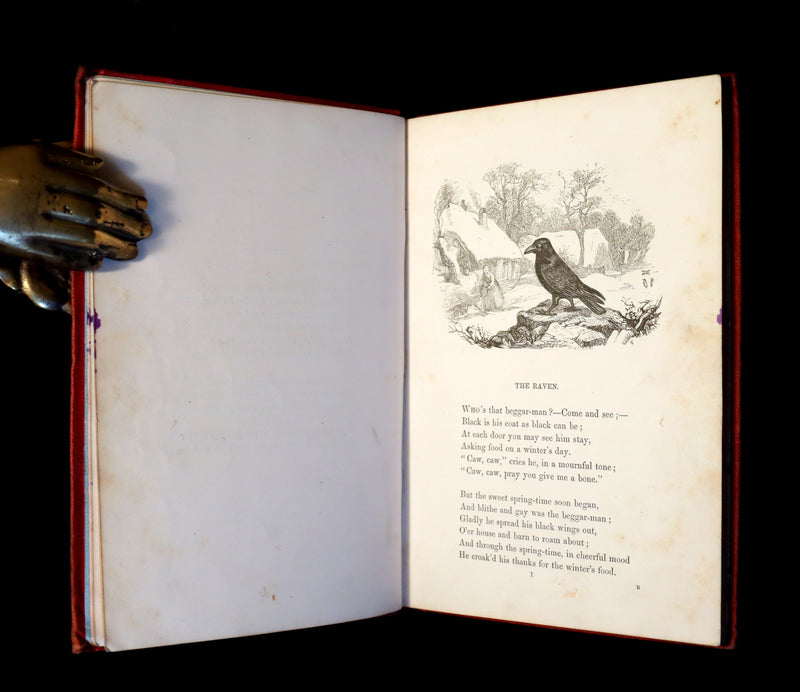 1858 Scarce First Edition - Picture Fables Drawn by Otto Speckter.