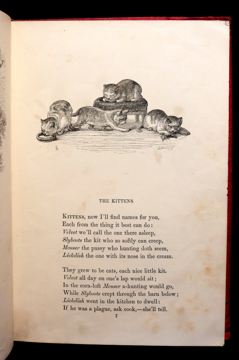 1858 Scarce First Edition - Picture Fables Drawn by Otto Speckter.