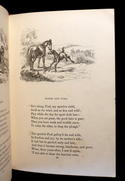 1858 Scarce First Edition - Picture Fables Drawn by Otto Speckter.