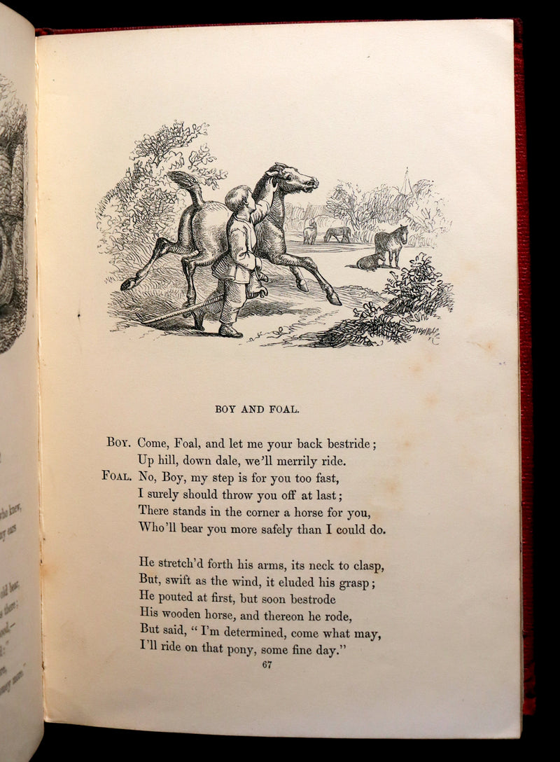 1858 Scarce First Edition - Picture Fables Drawn by Otto Speckter.