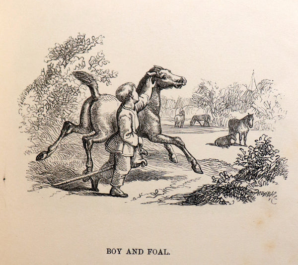 1858 Scarce First Edition - Picture Fables Drawn by Otto Speckter.