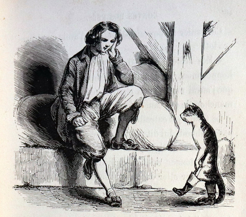 1900 Rare illustrated French Book ~ Contes des Fees -  Fairy Tales by Perrault published by Bedelet.