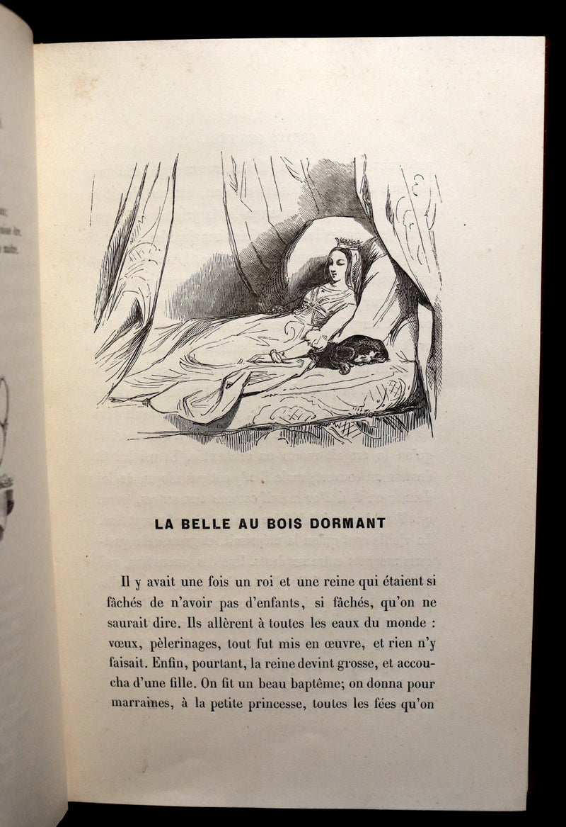 1900 Rare illustrated French Book ~ Contes des Fees -  Fairy Tales by Perrault published by Bedelet.