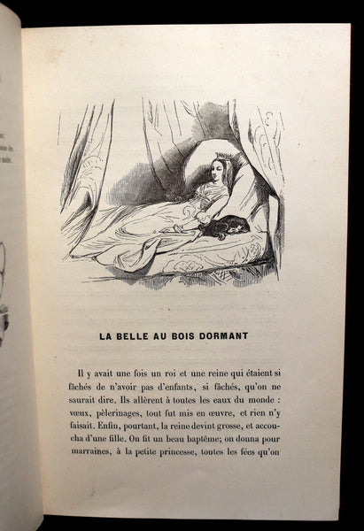 1900 Rare illustrated French Book ~ Contes des Fees -  Fairy Tales by Perrault published by Bedelet.
