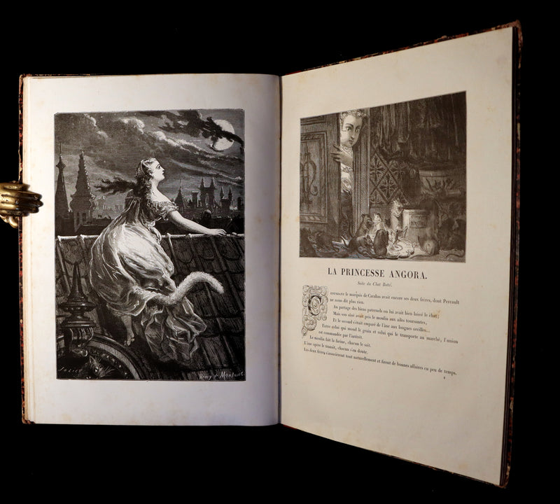1865 Rare French Fairy Tales Book ~ The Tales of Perrault continued by Timothee Trimm.