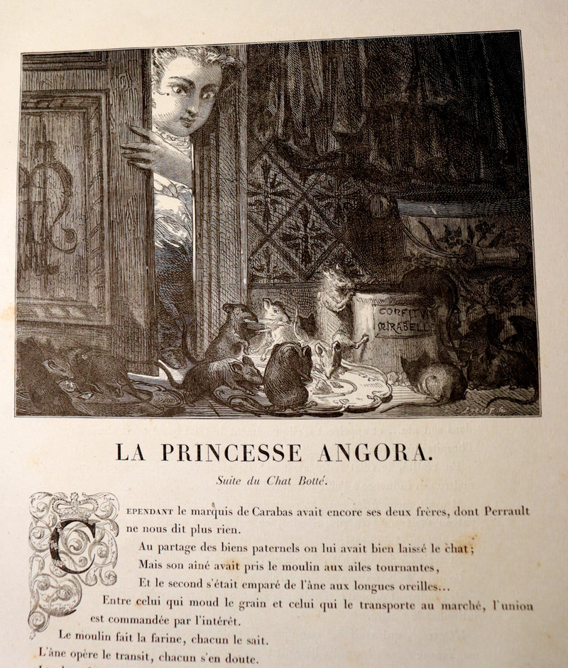 1865 Rare French Fairy Tales Book ~ The Tales of Perrault continued by Timothee Trimm.