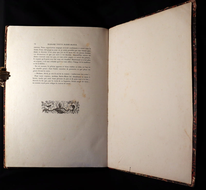 1865 Rare French Fairy Tales Book ~ The Tales of Perrault continued by Timothee Trimm.