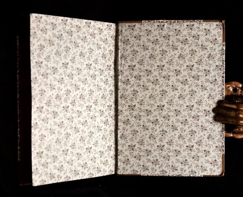 1886 Scarce Victorian Book - WALDEN or Life in the Woods by Henry David Thoreau.