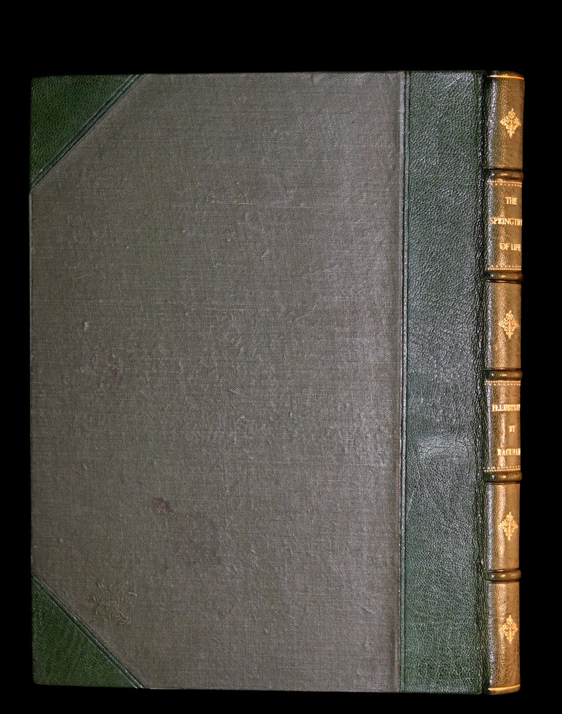 1918 Rare 1stED Book - The Springtide of Life by Swinburne illustrated by Arthur Rackham.