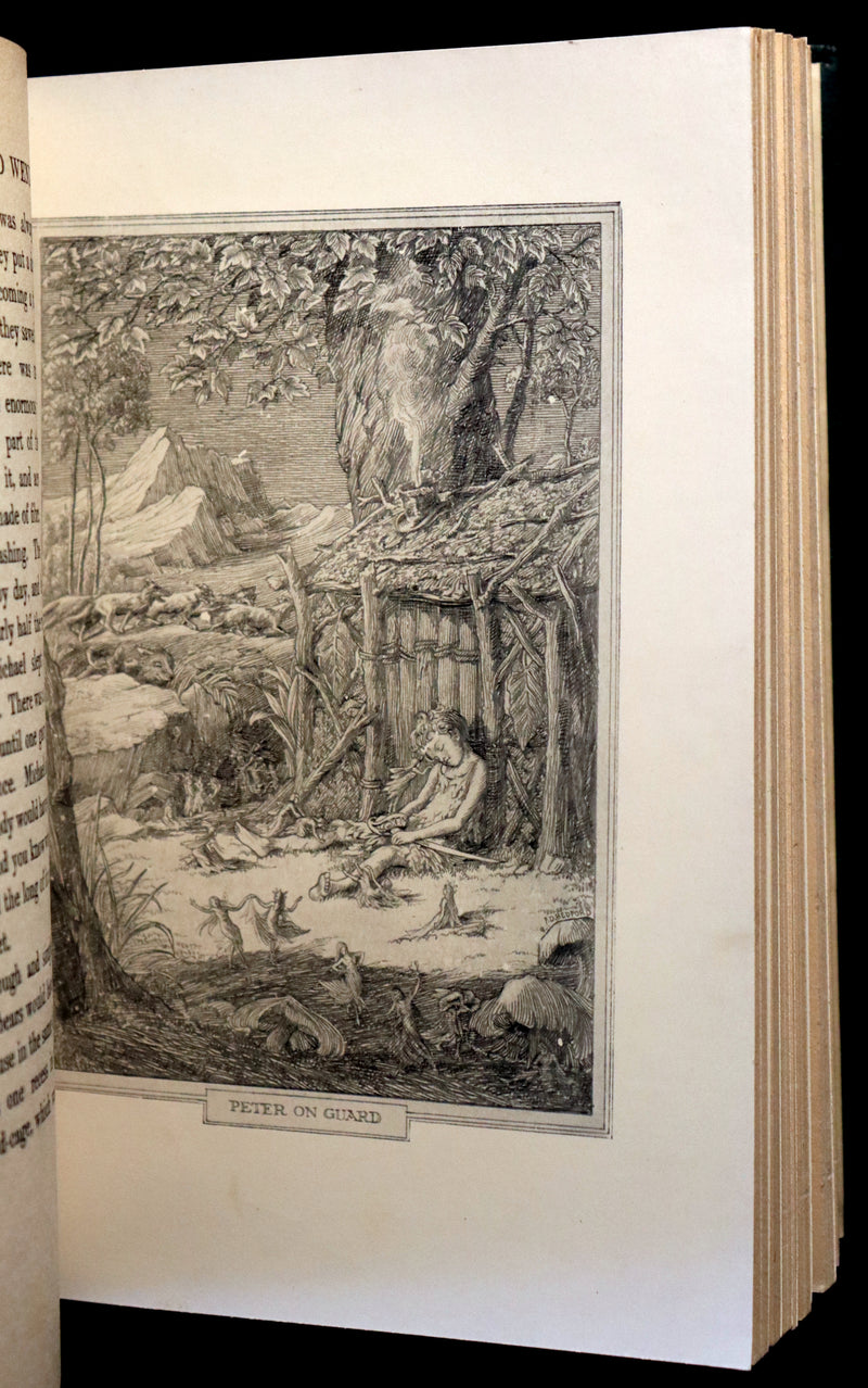 1911 Rare 1st UK Edition Book - Peter Pan - Peter and Wendy by James Matthew Barrie.