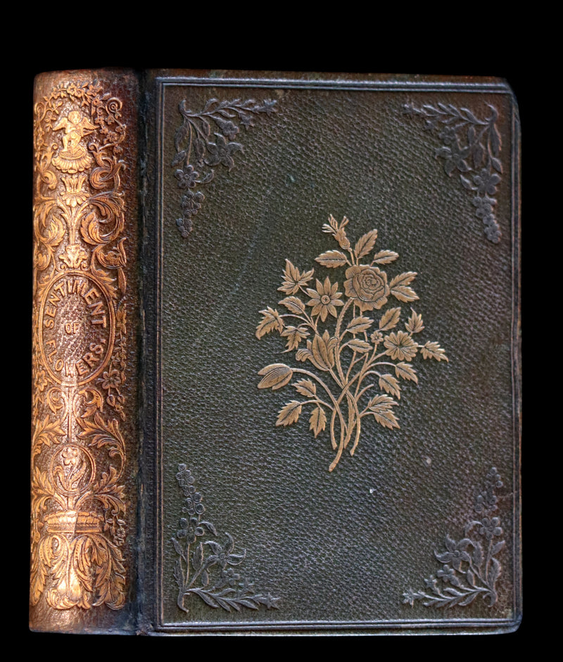 1841 Rare Floriography Book ~ Sentiment of Flowers or Language of Flora with coloured plates.