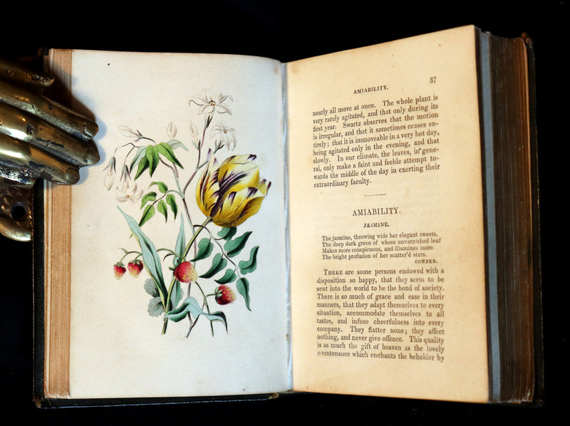 1841 Rare Floriography Book ~ Sentiment of Flowers or Language of Flora with coloured plates.