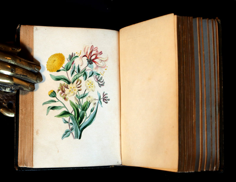 1841 Rare Floriography Book ~ Sentiment of Flowers or Language of Flora with coloured plates.