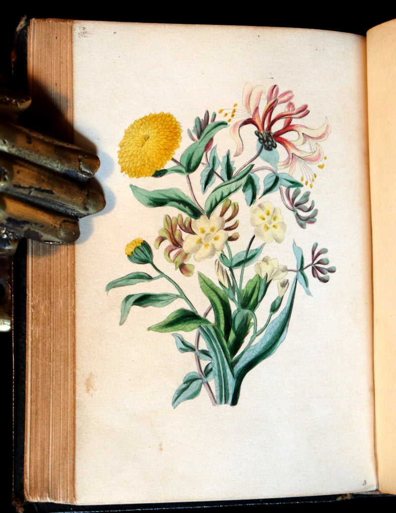 1841 Rare Floriography Book ~ Sentiment of Flowers or Language of Flora with coloured plates.