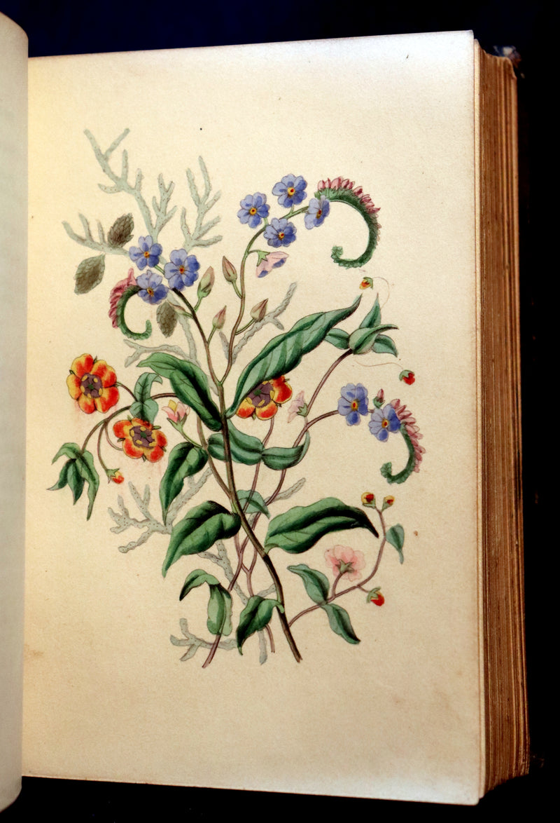 1841 Rare Floriography Book ~ Sentiment of Flowers or Language of Flora with coloured plates.