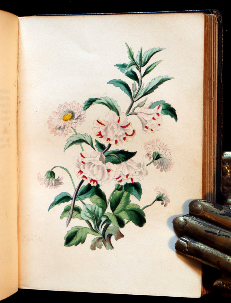 1841 Rare Floriography Book ~ Sentiment of Flowers or Language of Flora with coloured plates.