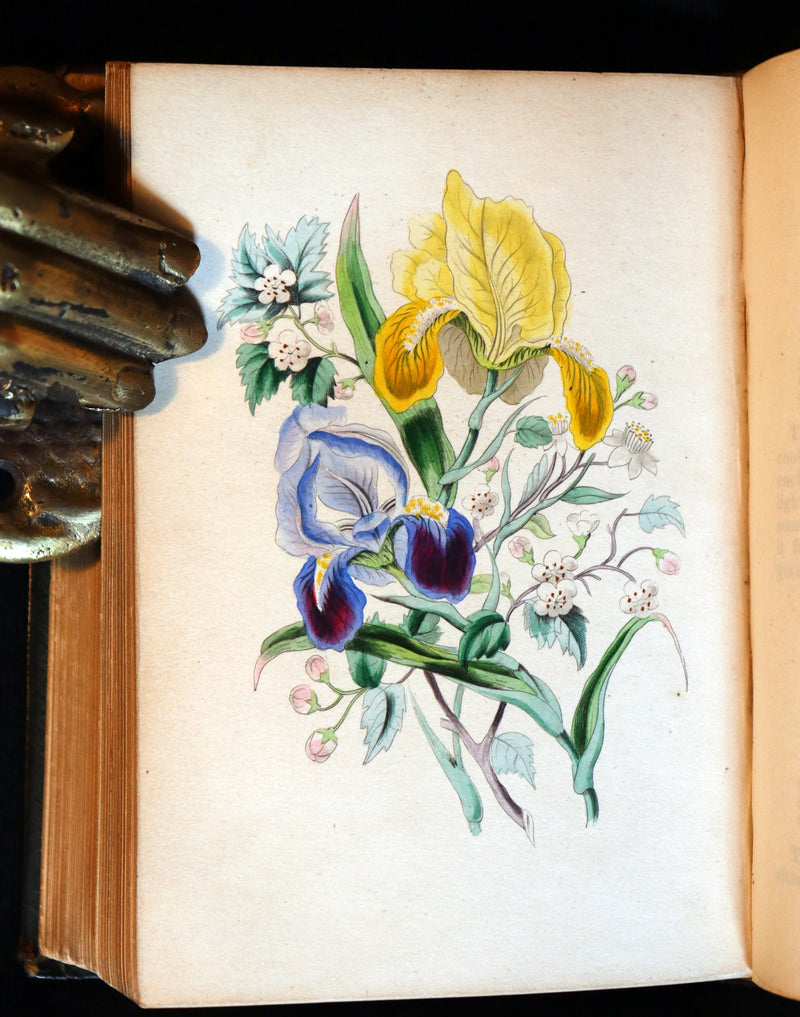 1841 Rare Floriography Book ~ Sentiment of Flowers or Language of Flora with coloured plates.