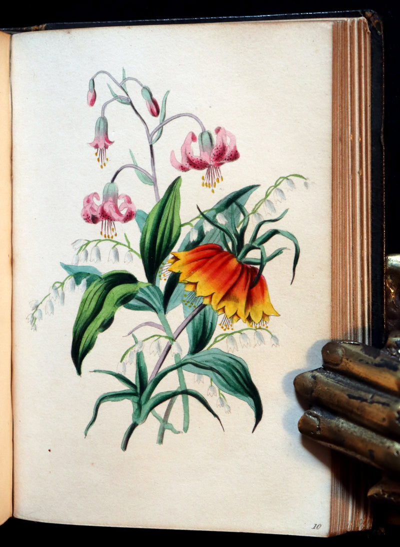 1841 Rare Floriography Book ~ Sentiment of Flowers or Language of Flora with coloured plates.