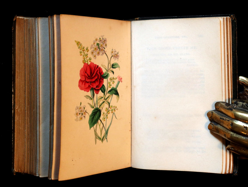 1841 Rare Floriography Book ~ Sentiment of Flowers or Language of Flora with coloured plates.