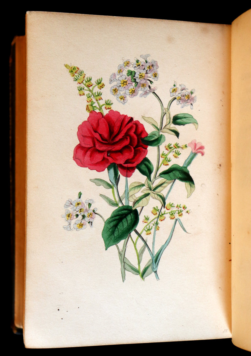 1841 Rare Floriography Book ~ Sentiment of Flowers or Language of Flora with coloured plates.