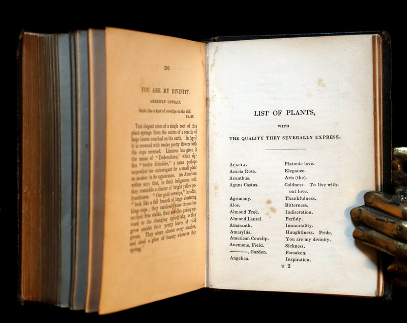 1841 Rare Floriography Book ~ Sentiment of Flowers or Language of Flora with coloured plates.
