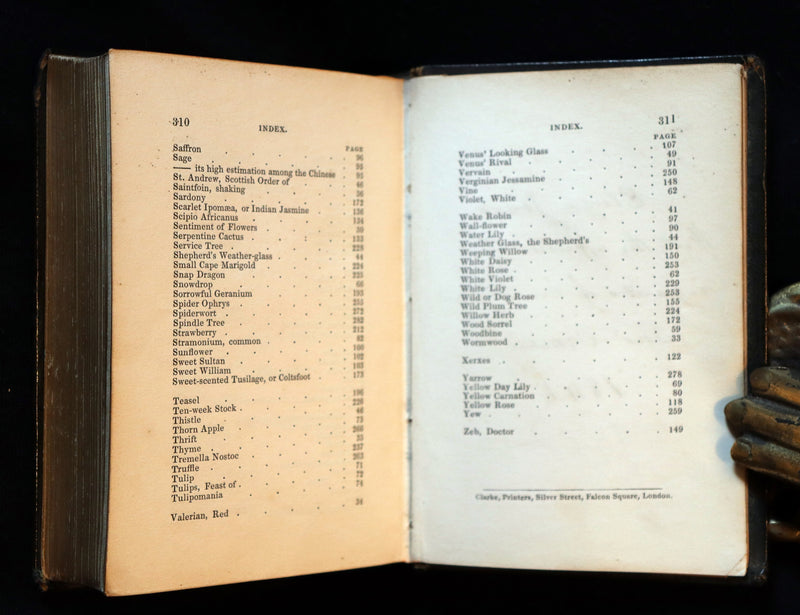 1841 Rare Floriography Book ~ Sentiment of Flowers or Language of Flora with coloured plates.