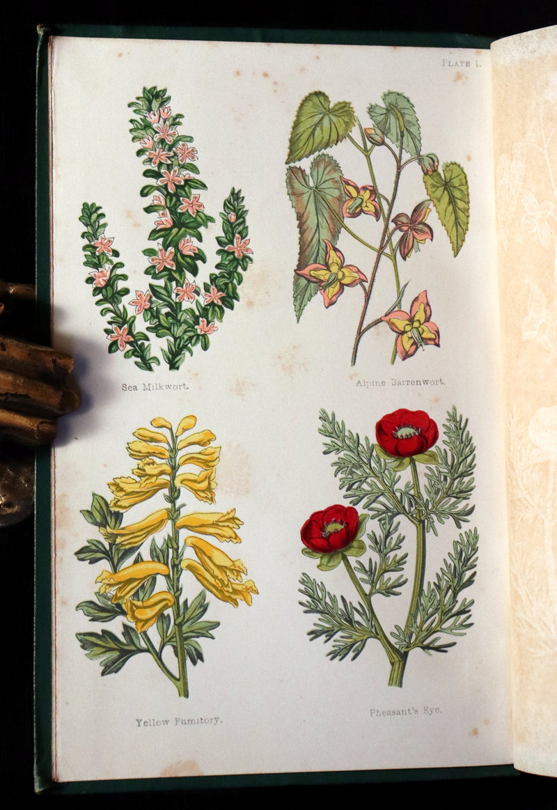 1870 Rare Victorian Book - FIELD FLOWERS, A handy-book for the rambling by the famous botanist James Shirley Hibberd.