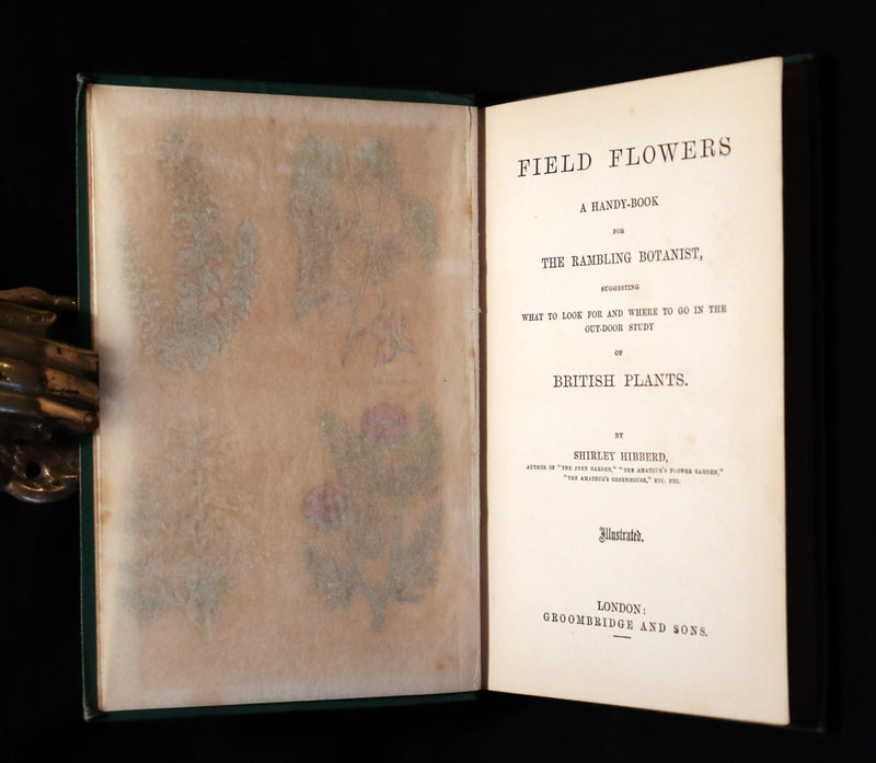 1870 Rare Victorian Book - FIELD FLOWERS, A handy-book for the rambling by the famous botanist James Shirley Hibberd.