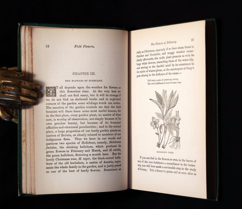 1870 Rare Victorian Book - FIELD FLOWERS, A handy-book for the rambling by the famous botanist James Shirley Hibberd.
