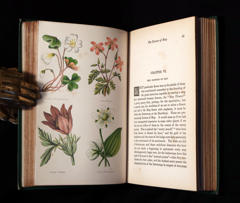 1870 Rare Victorian Book - FIELD FLOWERS, A handy-book for the rambling by the famous botanist James Shirley Hibberd.