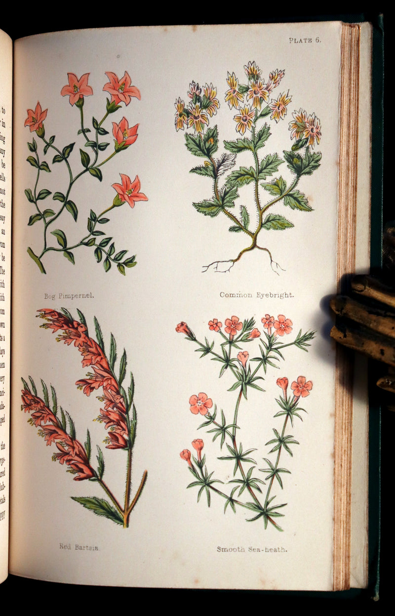 1870 Rare Victorian Book - FIELD FLOWERS, A handy-book for the rambling by the famous botanist James Shirley Hibberd.