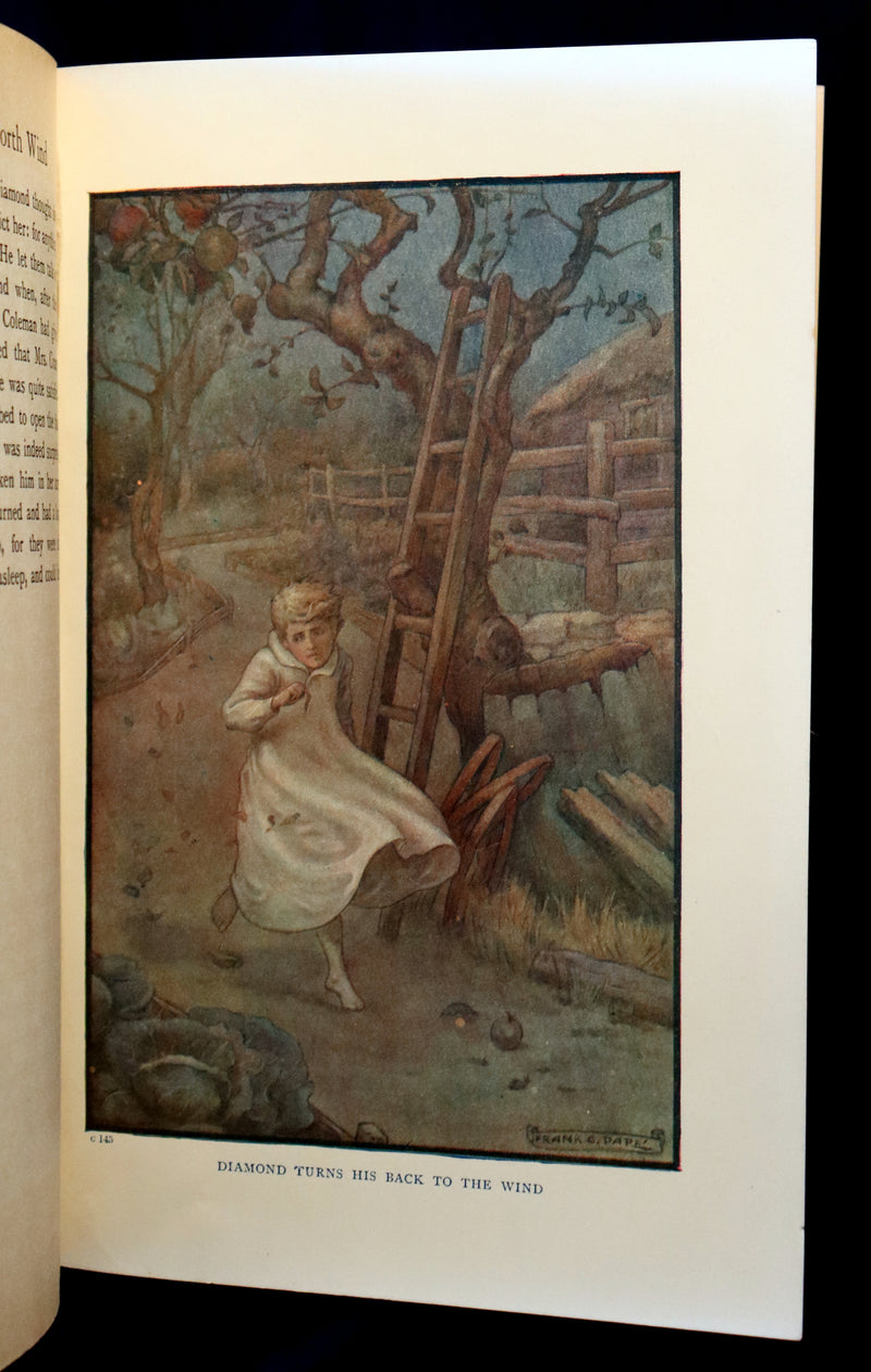 1911 Rare Book - AT THE BACK OF THE NORTH WIND by George MacDonald & Illustrated by Frank C. Pape.