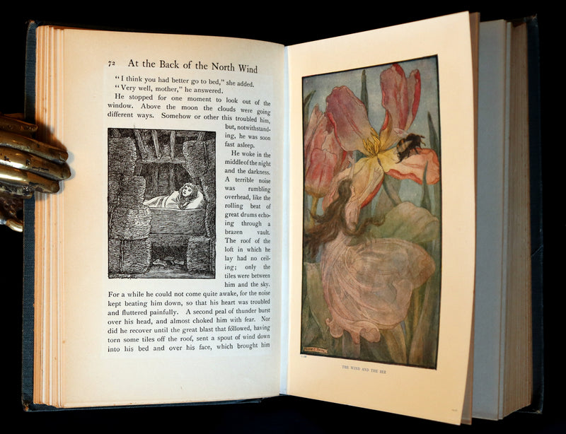 1911 Rare Book - AT THE BACK OF THE NORTH WIND by George MacDonald & Illustrated by Frank C. Pape.