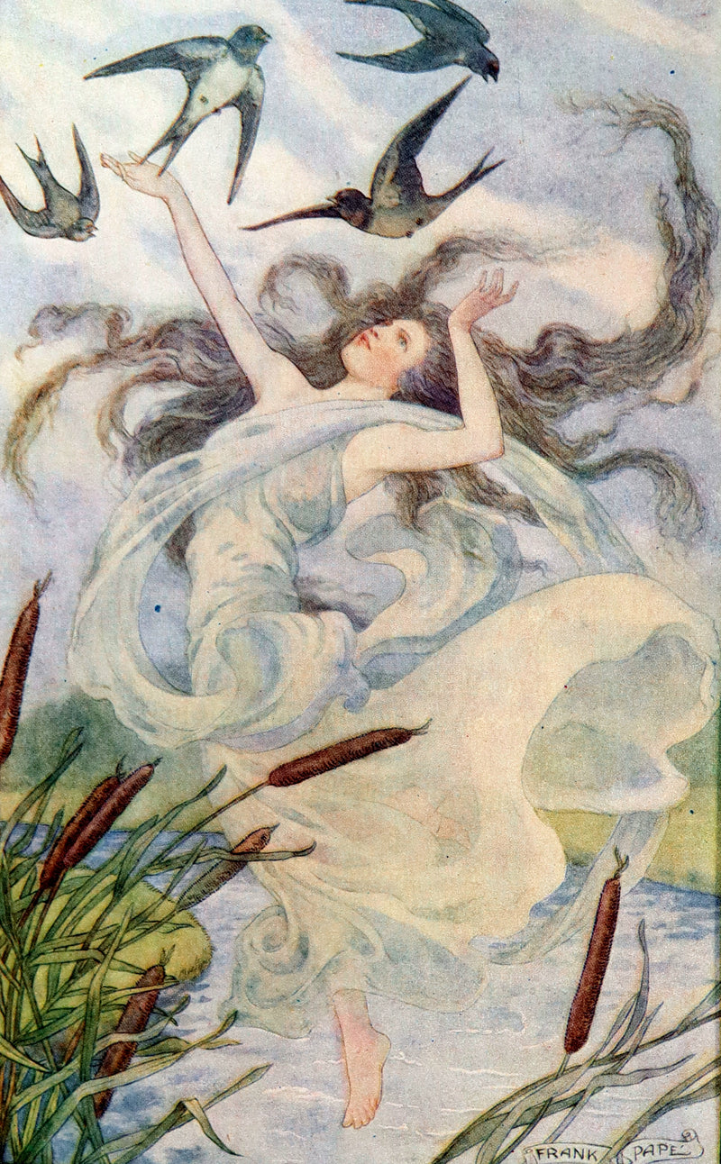 1911 Rare Book - AT THE BACK OF THE NORTH WIND by George MacDonald & Illustrated by Frank C. Pape.