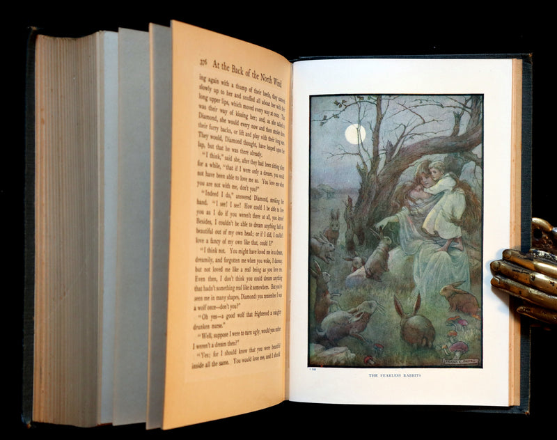 1911 Rare Book - AT THE BACK OF THE NORTH WIND by George MacDonald & Illustrated by Frank C. Pape.